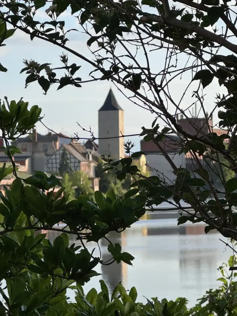 Calbenser Wohnungsbaugesellschaft mbH - Hexenturm